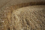 East Field, Wiltshire crop circle, aerial photo 27