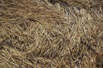 East Field, Wiltshire crop circle, aerial photo 12