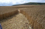 East Field, Wiltshire crop circle, aerial photo 26