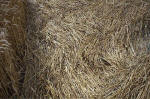 East Field, Wiltshire crop circle, aerial photo 22