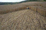 East Field, Wiltshire crop circle, aerial photo 23