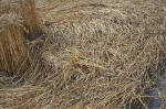East Field, Wiltshire crop circle, aerial photo 20