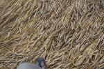 East Field, Wiltshire crop circle, aerial photo 16