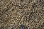 East Field, Wiltshire crop circle, aerial photo 17