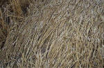 East Field, Wiltshire crop circle, aerial photo 14