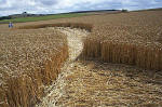East Field, Wiltshire crop circle, aerial photo 11