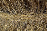 East Field, Wiltshire crop circle, aerial photo 10