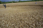 East Field, Wiltshire crop circle, aerial photo 21