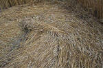 East Field, Wiltshire crop circle, aerial photo 39