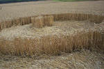 East Field, Wiltshire crop circle, aerial photo 42