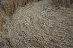 East Field, Wiltshire crop circle, aerial photo 43