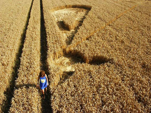 East Field, Wiltshire crop circle, aerial photo 5