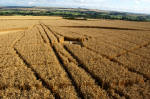 Etchilhampton Hill, Wiltshire crop circle, aerial photo 13