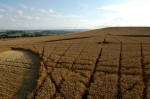 Etchilhampton Hill, Wiltshire crop circle, aerial photo 10