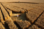 Etchilhampton Hill, Wiltshire crop circle, aerial photo 9