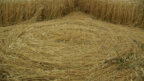 Etchilhampton Hill, Wiltshire crop circle, aerial photo 33