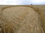 Etchilhampton Hill, Wiltshire crop circle, aerial photo 14