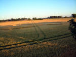 Grange Farm, Norfolk crop circle, aerial photo 7