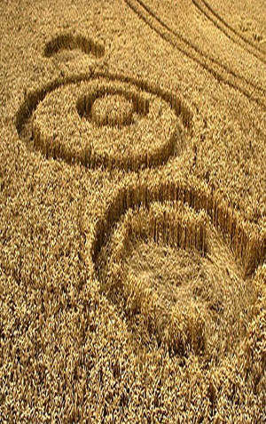 Hackpen Hill, Wiltshire crop circle, aerial photo 4