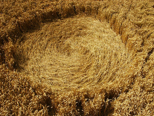 Hackpen Hill, Wiltshire crop circle, aerial photo 8