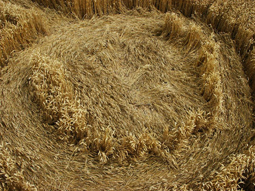 Hackpen Hill, Wiltshire crop circle, aerial photo 7
