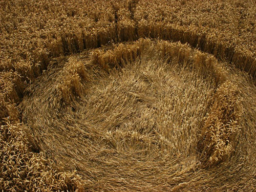 Hackpen Hill, Wiltshire crop circle, aerial photo 10