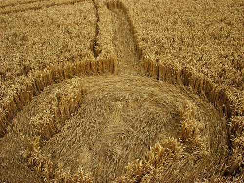 Hackpen Hill, Wiltshire crop circle, aerial photo 9