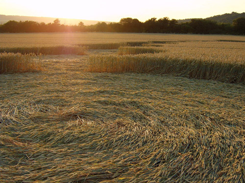 Crop Circle at Wouldham, Kent crop circle, aerial photo 4