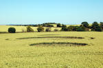 Charlbury Hill, Wiltshire crop circle, aerial photo 4