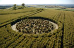 Charlbury Hill, Wiltshire crop circle, aerial photo 6