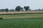 Blofield, Norfolk crop circle, aerial photo 27
