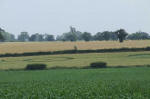 Blofield, Norfolk crop circle, aerial photo 28