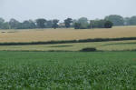 Blofield, Norfolk crop circle, aerial photo 29