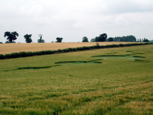 Blofield, Norfolk crop circle, aerial photo 20