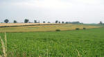 Blofield, Norfolk crop circle, aerial photo 8