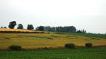 Blofield, Norfolk crop circle, aerial photo 12