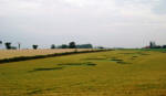 Blofield, Norfolk crop circle, aerial photo 14