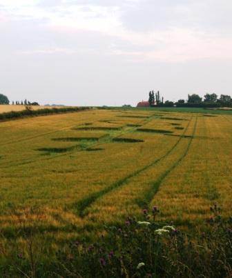 Blofield, Norfolk crop circle, aerial photo 7