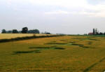 Blofield, Norfolk crop circle, aerial photo 11