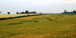 Blofield, Norfolk crop circle, aerial photo 10