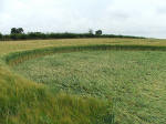 Blofield, Norfolk crop circle, aerial photo 24