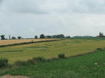 Blofield, Norfolk crop circle, aerial photo 25