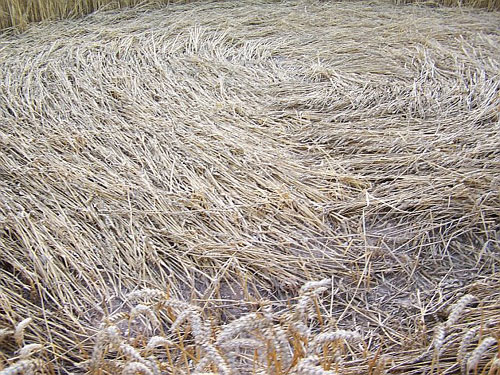 Old Sarum, Hampshire crop circle, aerial photo 3
