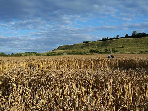 Old Sarum, Hampshire crop circle, aerial photo 6