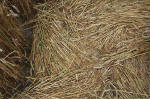Overton Hill, Wiltshire crop circle, aerial photo 44
