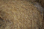Overton Hill, Wiltshire crop circle, aerial photo 40