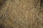 Overton Hill, Wiltshire crop circle, aerial photo 37