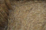 Overton Hill, Wiltshire crop circle, aerial photo 28