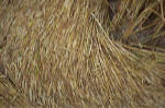 Overton Hill, Wiltshire crop circle, aerial photo 26