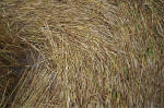 Overton Hill, Wiltshire crop circle, aerial photo 23
